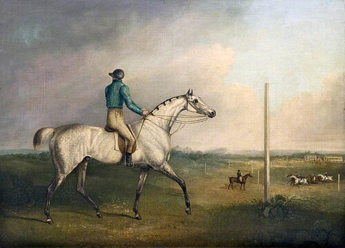 A Grey Racehorse with a Jockey Up on a Racecourse, , Charles Towne
