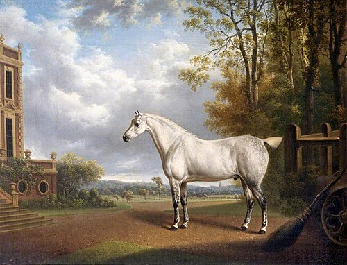 A Grey Cob at Croxteth, 1820, Charles Towne