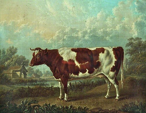 Prize Cow in a Landscape, 1828, Charles Towne