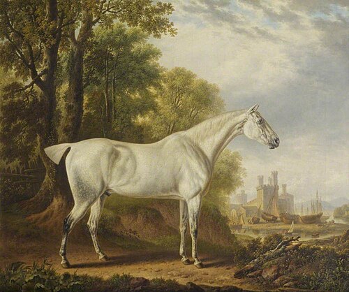 'Billy' a Favourite Horse of James Dearden, Esq., 1832, Charles Towne