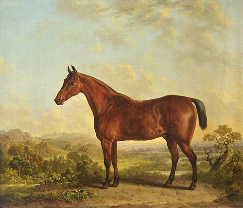 Chestnut Horse in a Landscape with a Fox Hunt, 1833, Charles Towne