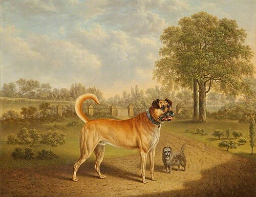 Mastiff and Terrier in the Drive of a House, 1834, Charles Towne