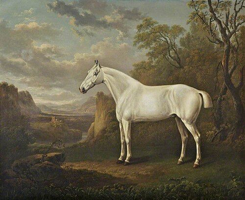Grey Horse in a Landscape, , Charles Towne