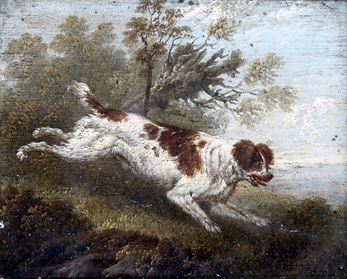 Cocker Spaniel, , Charles Towne