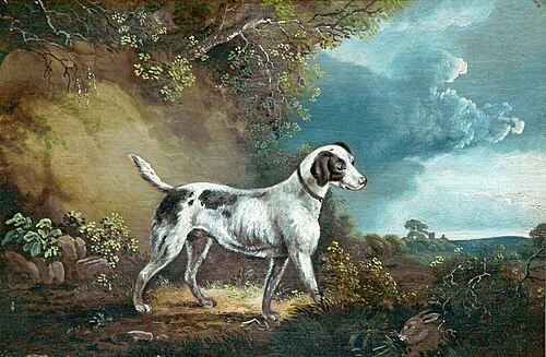 Pointer, , Charles Towne
