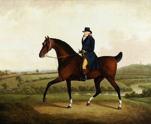 Mr Halliwell on Horseback, 1794, Charles Towne