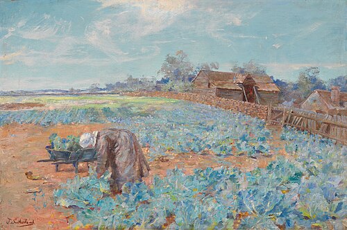 A cabbage garden, 1896, Jane Sutherland