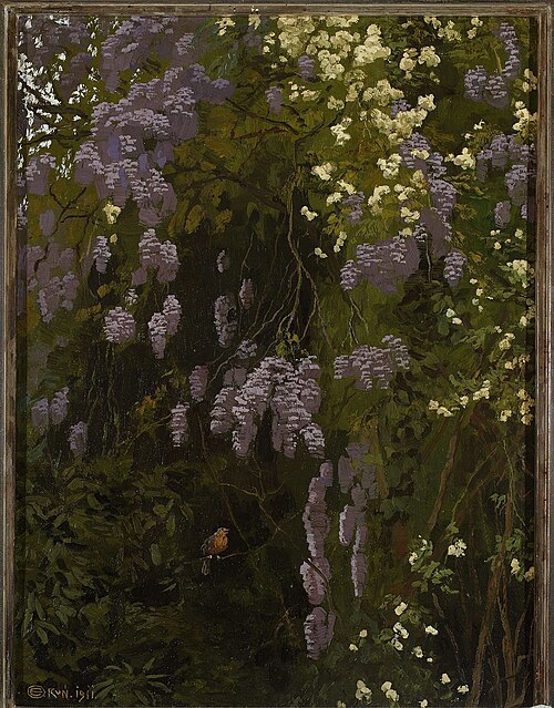 Glycines fleurissant., 1911, Edward Okuń