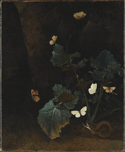 Herb Plant, Six Bright Butterflies and a Brown Serpent, , Christiaen Striep