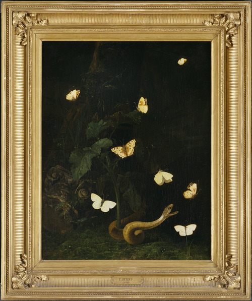 Herbs, Butterflies and a Serpent, , Christiaen Striep