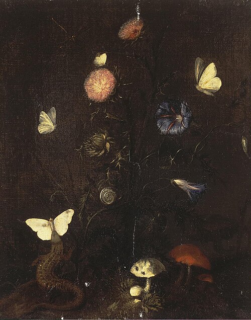 Flowers, Lizard and Butterflies, 1660, Christiaen Striep