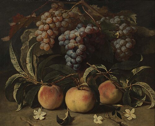 Peaches and grapes on a stone plate with jasmine flowers, 1717, Christian Berentz