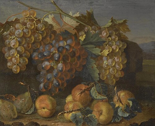 A still life of grapes on the vine, plums and peaches in a landscape, , Christian Berentz