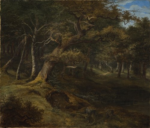 Hare-hunt in a Beech Forest, 1826, Christian Ezdorf