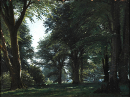 A forest with beech trees., 1899, Christian Zacho