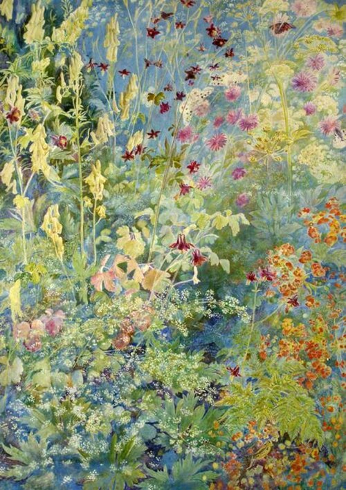 Pink Aquilegia, Yellow Foxgloves, Cow Parsley, , Christiana Herringham