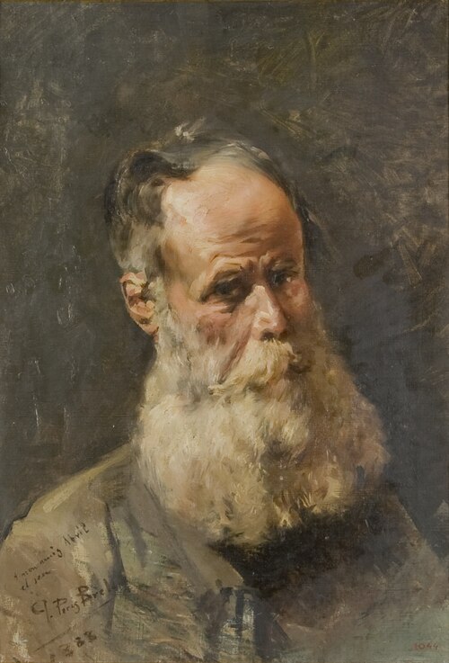 Male Portrait (Old Man with a Beard), 1883, P. Peris Beltrán