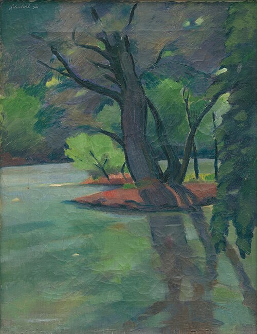 Mŕtve rameno Dunaja, 1921, Július Schubert