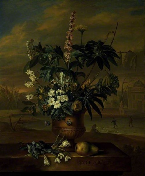Twelve Months of Flowers: January, 1732, Jacob van Huysum
