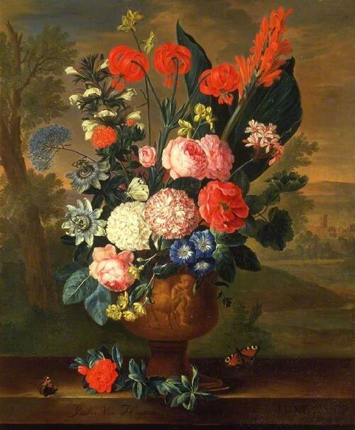 Twelve Months of Flowers: June, 1732, Jacob van Huysum