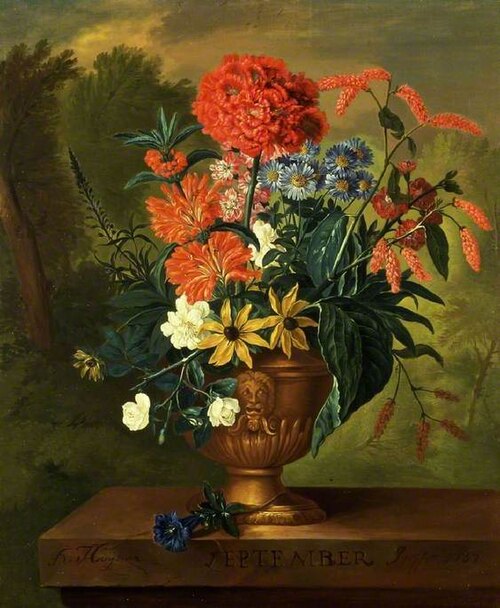 Twelve Months of Flowers: September, 1733, Jacob van Huysum