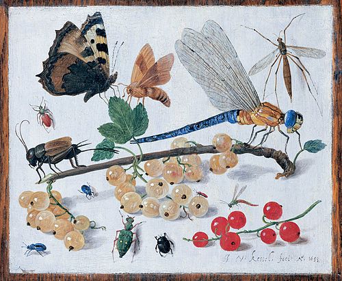 Study of fruit and insects, 1653, Jan van Kessel