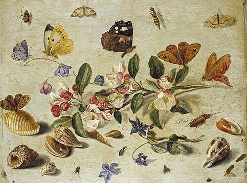 Flowers and Insects, , Jan van Kessel