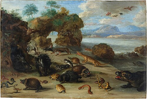 Coastal landscape with seals and squid, 1661, Jan van Kessel