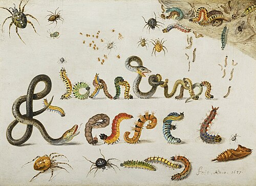 Garden and house spiders with grass snakes and caterpillars contorted and entwined to spell the arti, 1557, Jan van Kessel