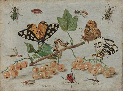Insectes et fruits, 1660, Jan van Kessel