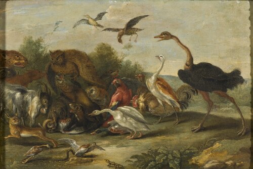 Battle between Owls and Quadrupeds, 1664, Jan van Kessel
