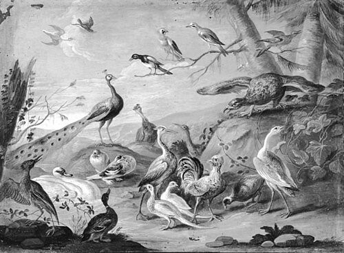 A Hilly Landscape with a Peacock, an Eagle and other Birds, , Jan van Kessel