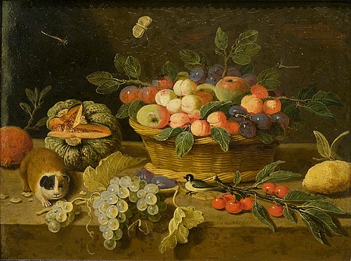 Still life of fruit with a cavia, 1705, Jan van Kessel