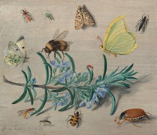 Insects and a Sprig of Rosemary, 1653, Jan van Kessel