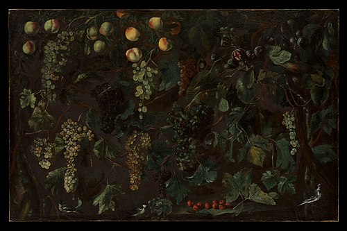 Grape Vines and Fruit, with Three Wagtails, 1616, Bartolomeo Cavarozzi