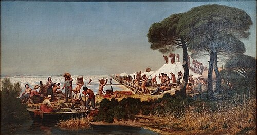 Récolte du sel aux vieux salins d'Hyères, 1893, Louis Garcin