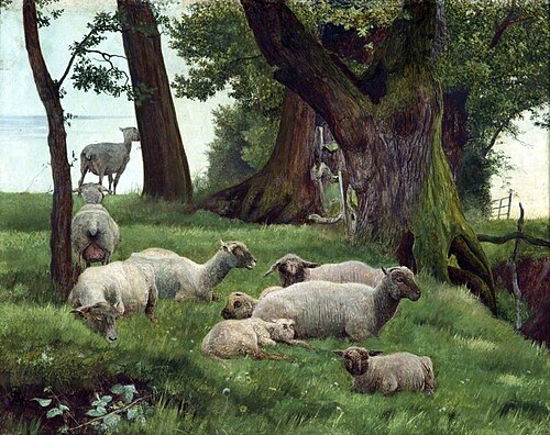 Sheep Resting, , Daniel Alexander Williamson