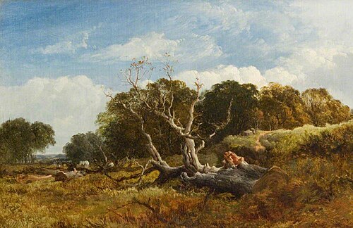 The Fallen Tree, 1860, David Bates