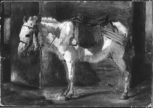 Weißes Maultier, 1875, Franz Adam