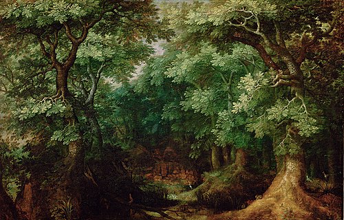 Wooded landscape, 1600, Gillis van Coninxloo