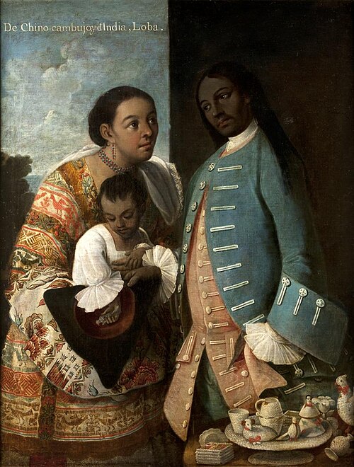 10. De chino cambujo e india, loba., 1763, Miguel Cabrera