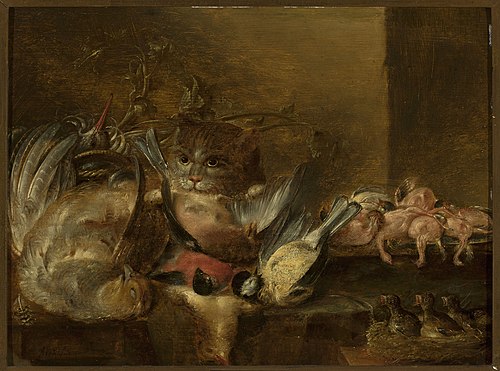Dead birds and a cat, 1700, Alexandre Adriaenssen