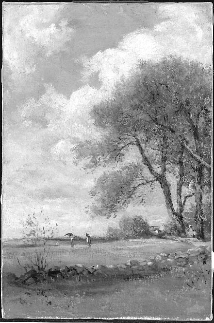 Meadows in Summer, 1877, William Morris Hunt