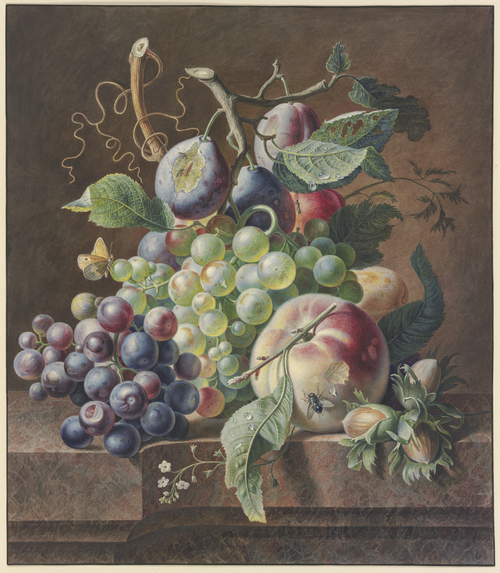 Fruit still life with hazelnuts, 1740, Jan van Huysum