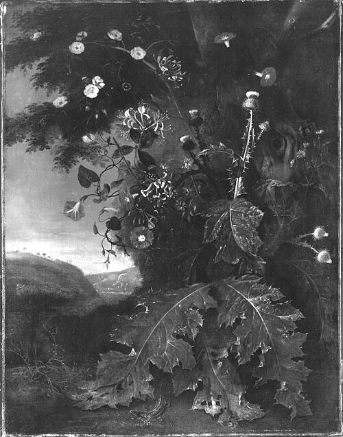 Blumen- und Distelstück in einer Landschaft, 1715, Jan van Huysum