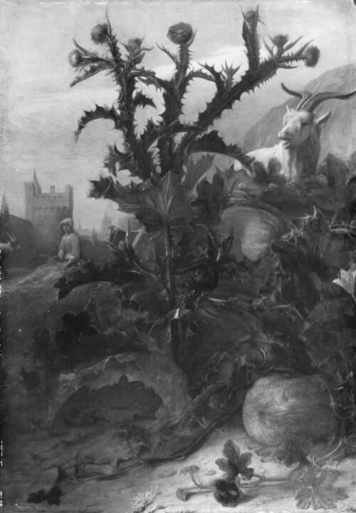 Thistle, Pumpkin and a Goat, 1675, Lambert Doomer