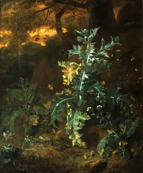 Thistle and a frog., 1650, Dirk Maas