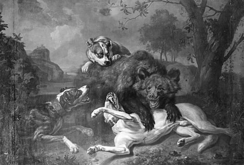 Fight between Bear and Dogs, 1703, Dirk Valkenburg