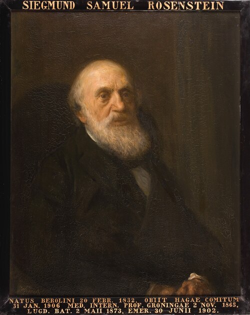 Portret van Samuel Sigmund Rosenstein, hoogleraar Geneeskunde en Pathologie te Leiden, 1902, Jozef Israëls