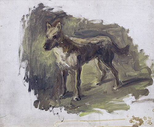 Studie van een hond, 1877, Jozef Israëls